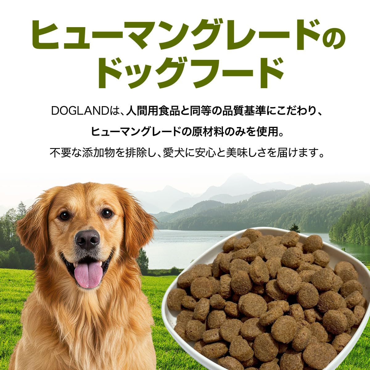 Amazon.co.jp: DOGLAND ドッグランド アダルト 中型 大型成犬 向け
